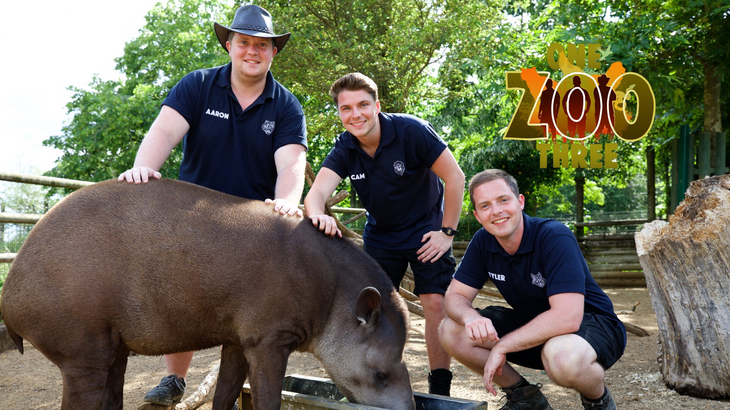 The Health Check One Zoo Three Hertfordshire Zoo